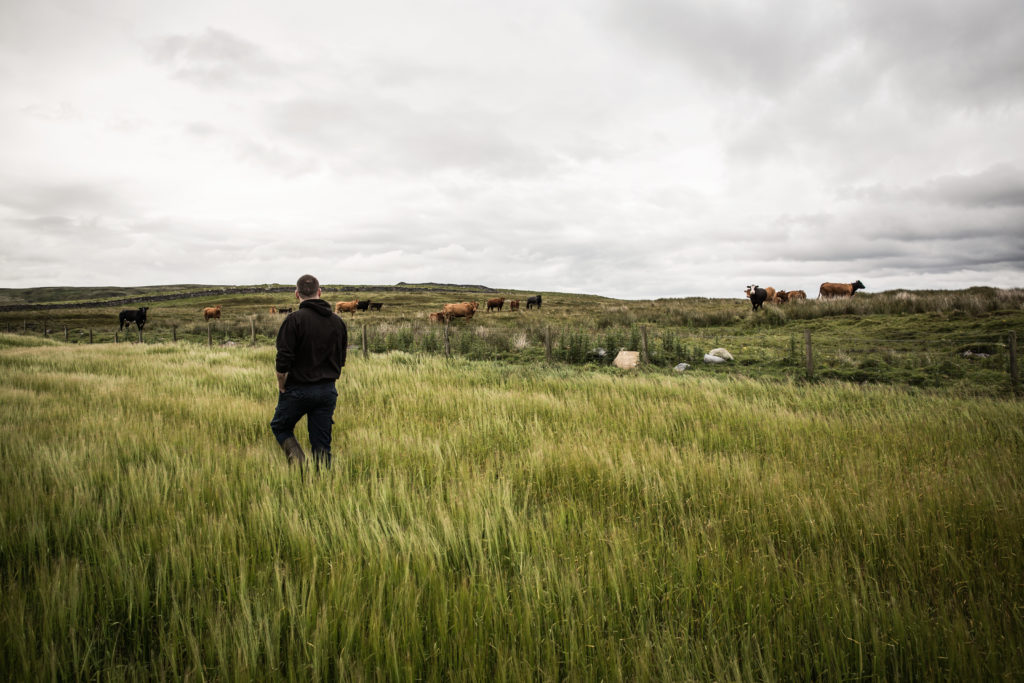Farming partner Raymond Fletcher at Dunlossit, Islay