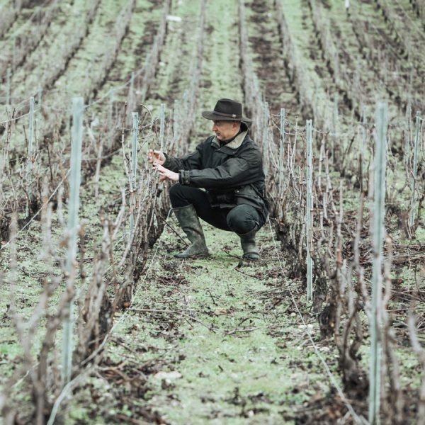 Bertrand-Lhôpital-in-the-vineyard