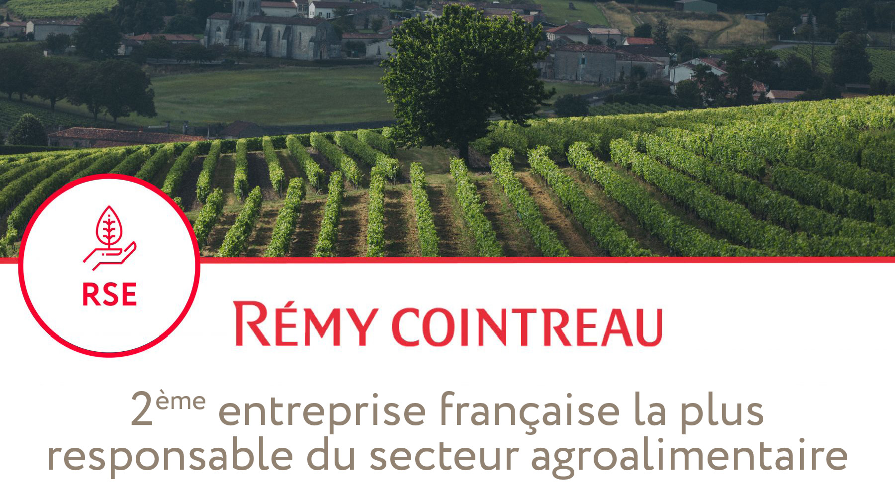 Classement-Le-Point-2022
