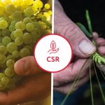 Rémy Cointreau supports virtuous agriculture practices