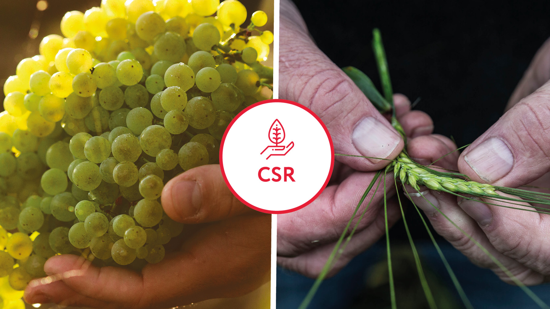 Rémy Cointreau supports virtuous agriculture practices