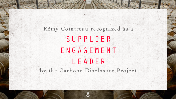 CDP-Supplier-Engagement-Leader