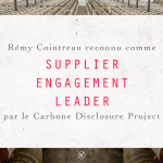 CDP-Supplier-Engagement-Leader